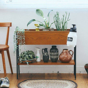 JOURNAL STANDARD FURNITURE Houseplants and Vases