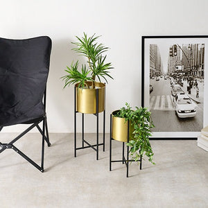 N203 | Houseplants and vases