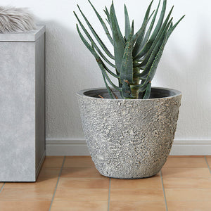 ROOM ESSENCE Houseplants and Vases