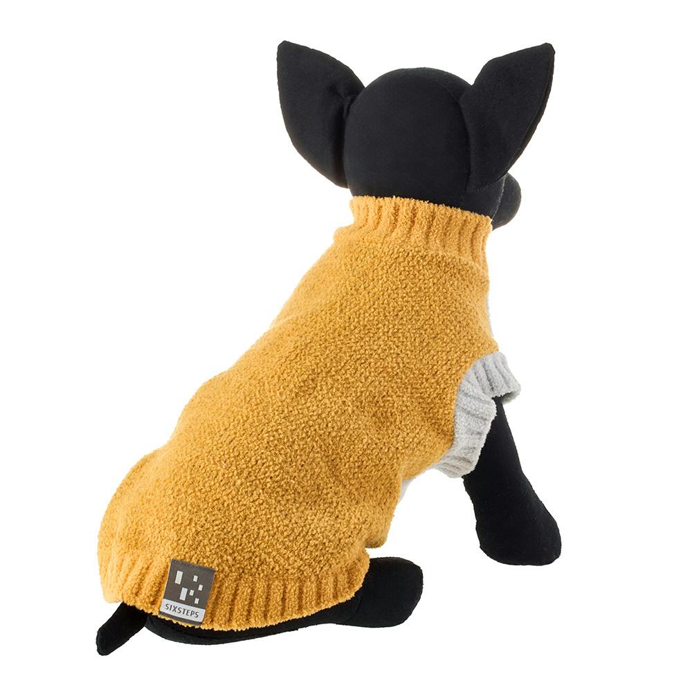 Zoom