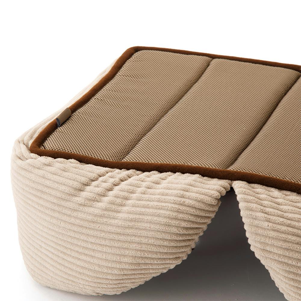 Zoom