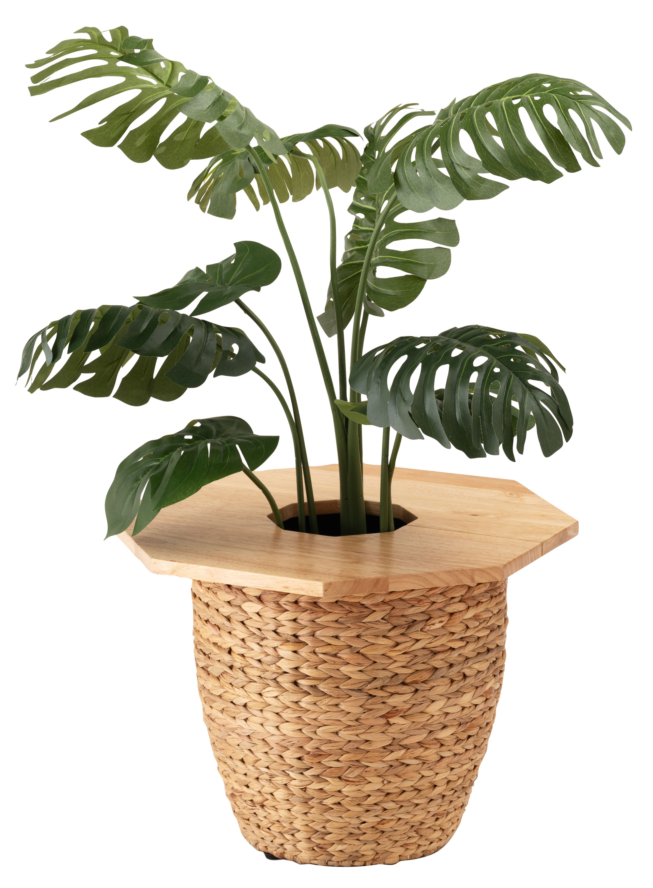 Zoom