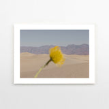 Nicole Mason Desert Mirage A4
