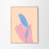 Oamul Parrot in Hand A4