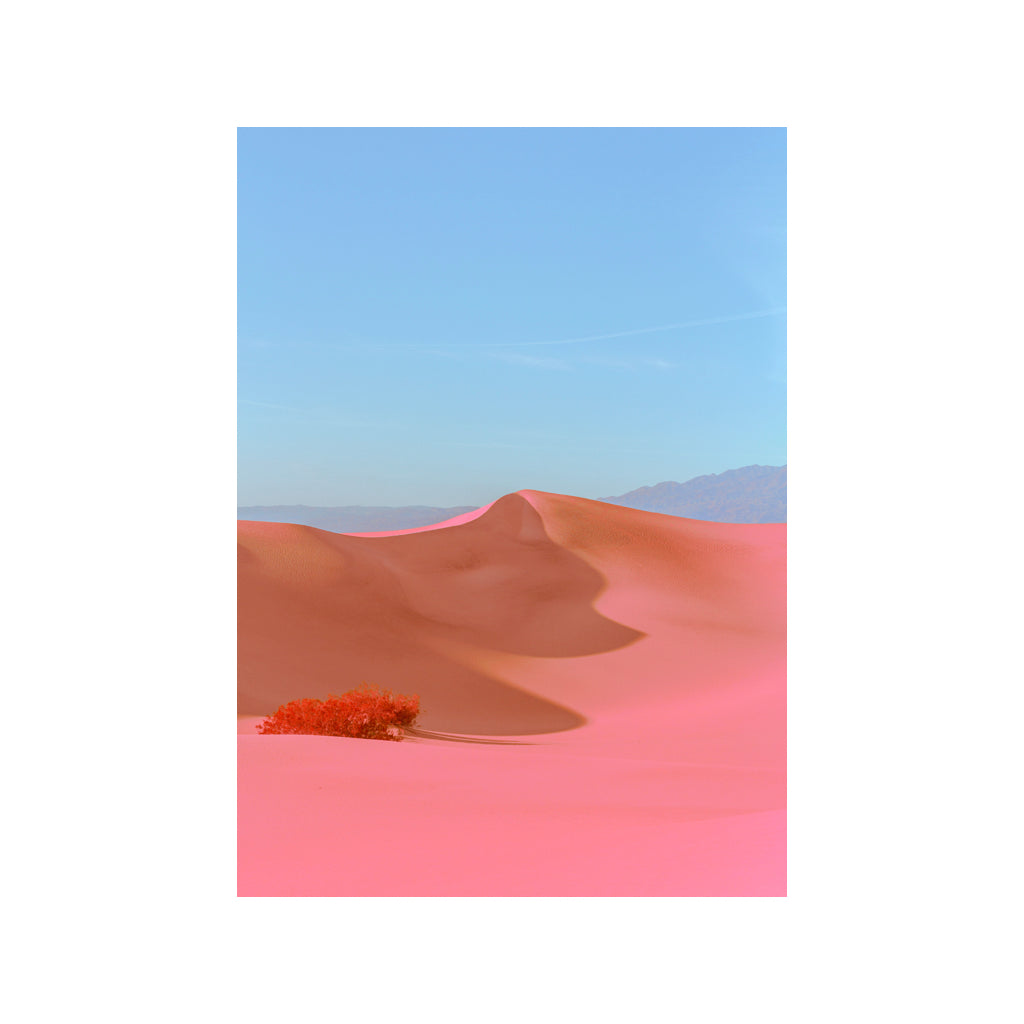Zoom